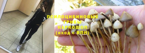 mix Алексеевка