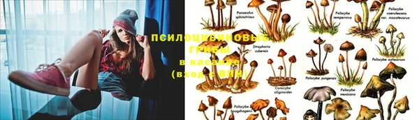 ешки Абаза