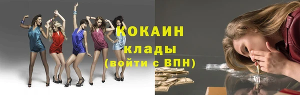 МДПВ Алексин