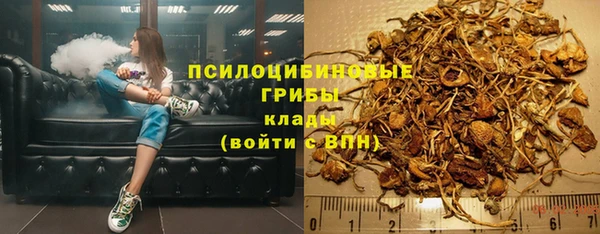 ешки Абаза