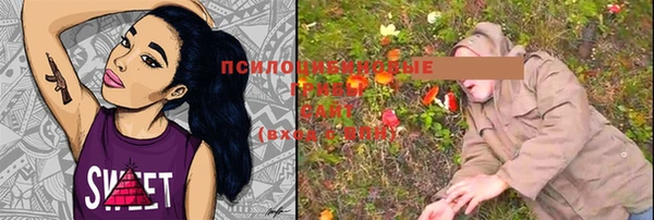ешки Абаза
