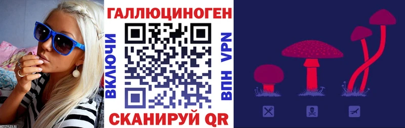 Псилоцибиновые грибы Magic Shrooms  магазин продажи   это как зайти  Судогда 