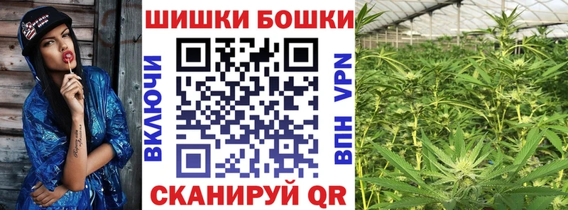 продажа наркотиков Судогда МАРИХУАНА ГИДРОПОН